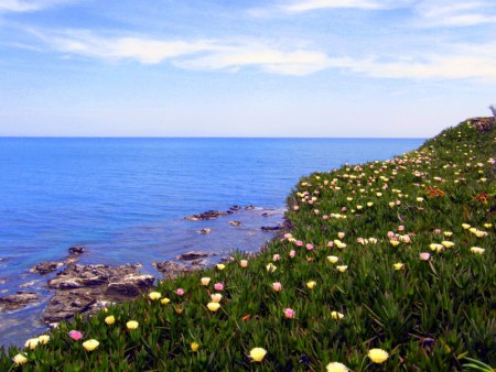 La Méditéranée